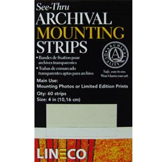 SEE THRU MOUNTING STRIPS (12")