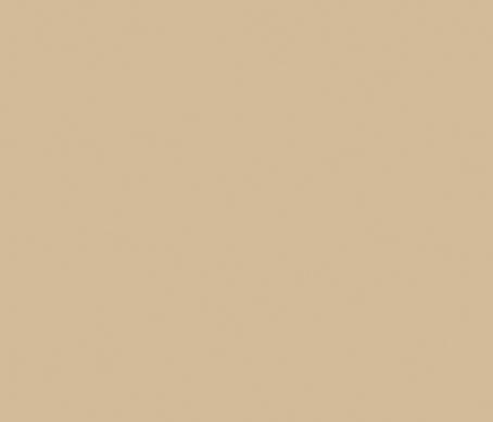 32X40 CAMEL