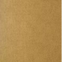 32X40 GOLD COIN