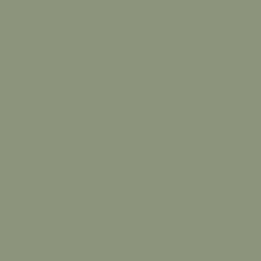 32X40 VERDE