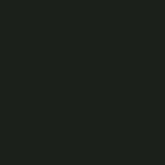 32X40 RAINFOREST GREEN