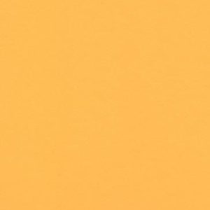 32X40 GOLDENROD
