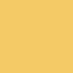 32X40 AMBER