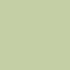 32X40 PARAKEET