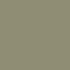 32X40 FIDDLEHEAD