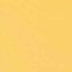 32X40 MAIZE