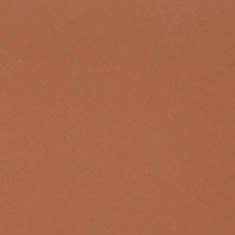 32X40 BURNT ORANGE