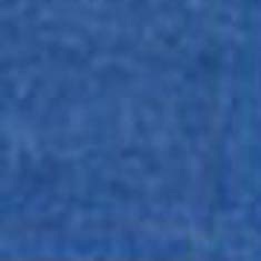 32X40 BLUE CHIP