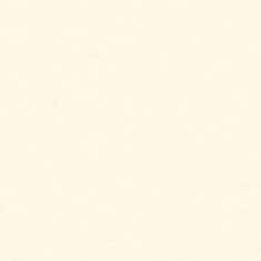 40X60 4PLY ANTIQUE WHITE