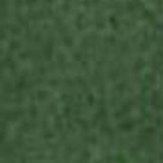 40X60 SHAMROCK GREEN