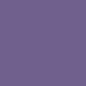 32X40 AFRICAN VIOLET