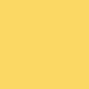 32X40 LEMON