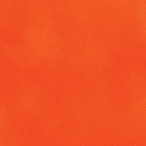 32X40 CLEMENTINE