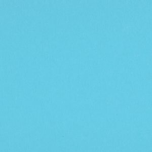 32X40 BLUEBIRD