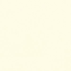 40X60 WHITE SANDS