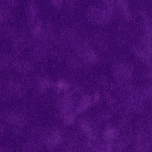 40X60 PURPLE TORCH